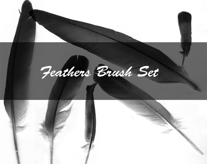 Feather Brush Set