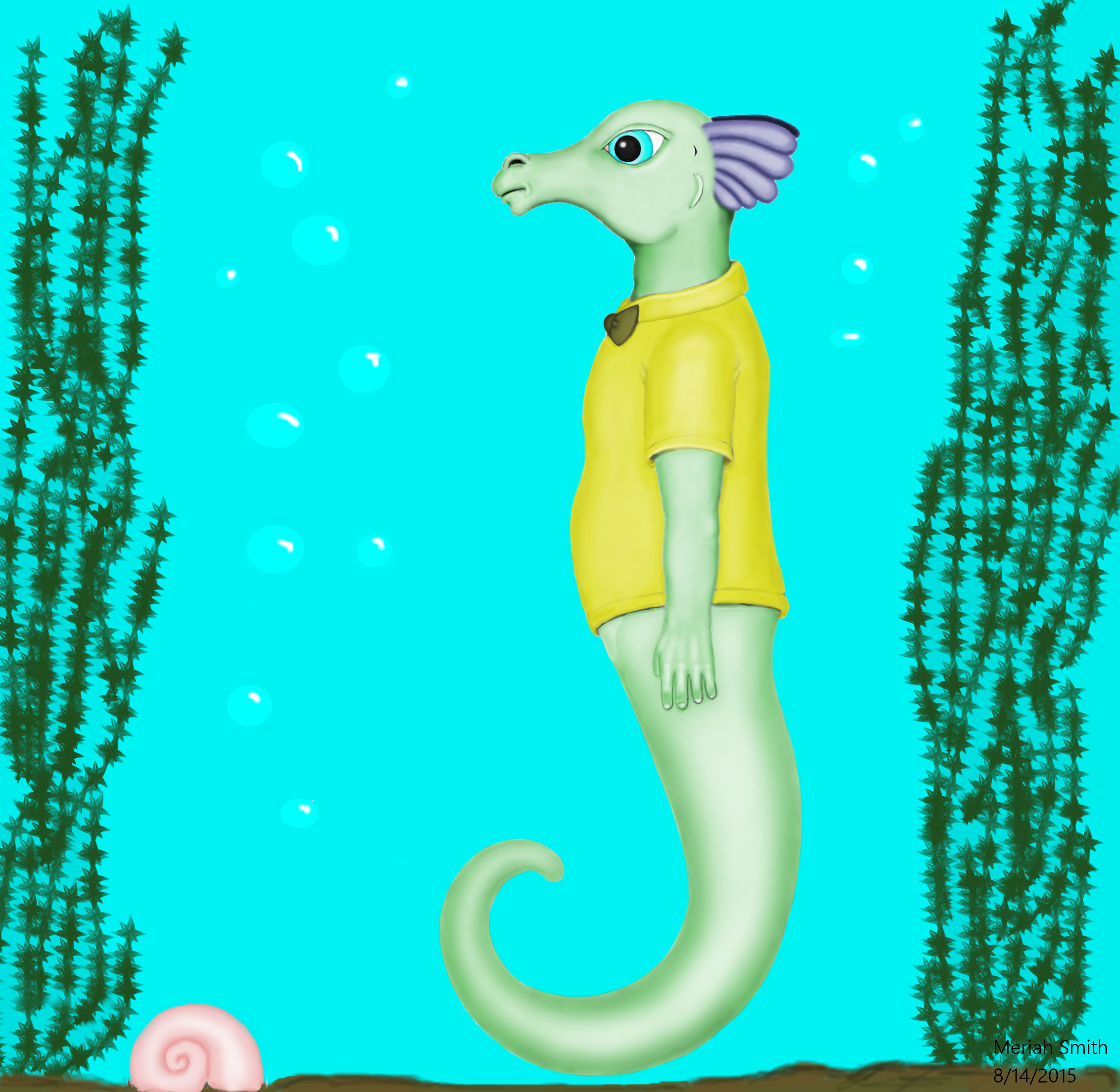 Seahorse Cartoon Character Reference