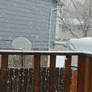 0320231404 More Snow