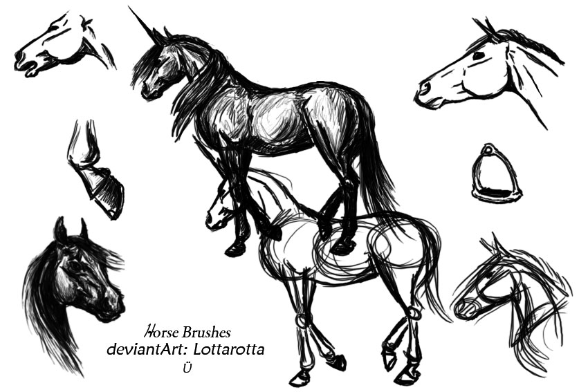 Horse Brushes by rheacharlotte on DeviantArt