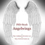 Angelwings - PSD Stock