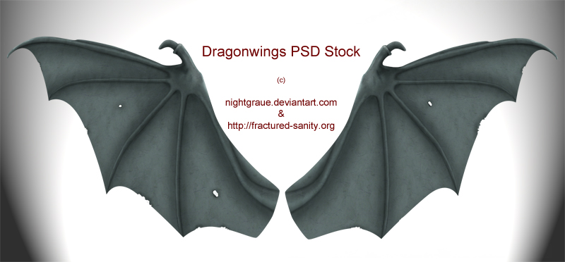 Dragon Wings PSD STock