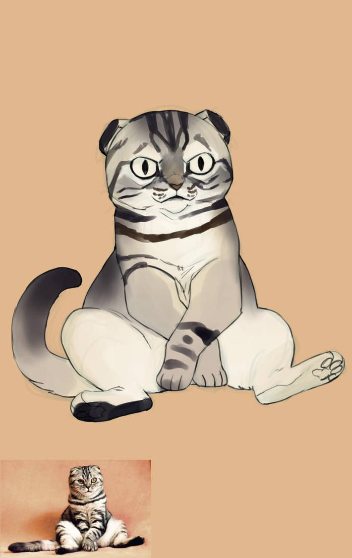Grumpy Sitting Kitty by sambragg on DeviantArt
