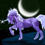 Midnight Unicorn