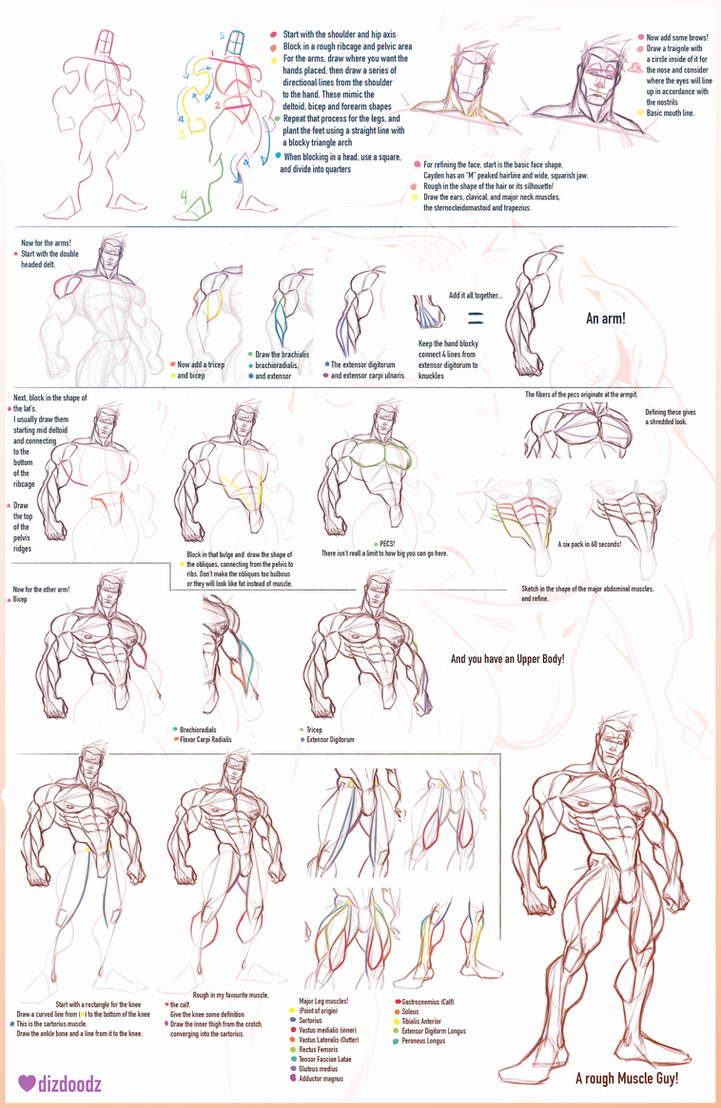 Men Drawing Tutorial How to Draw Cayden and Male Anatomy Tutorial by dizdoodz on DeviantArt