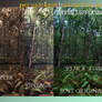 Premade Forest Background Pack