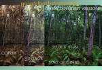 Premade Forest Background Pack
