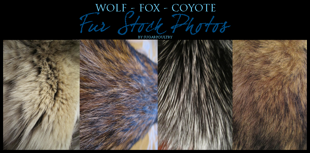 Fur Stock by sugarpoultry on DeviantArt