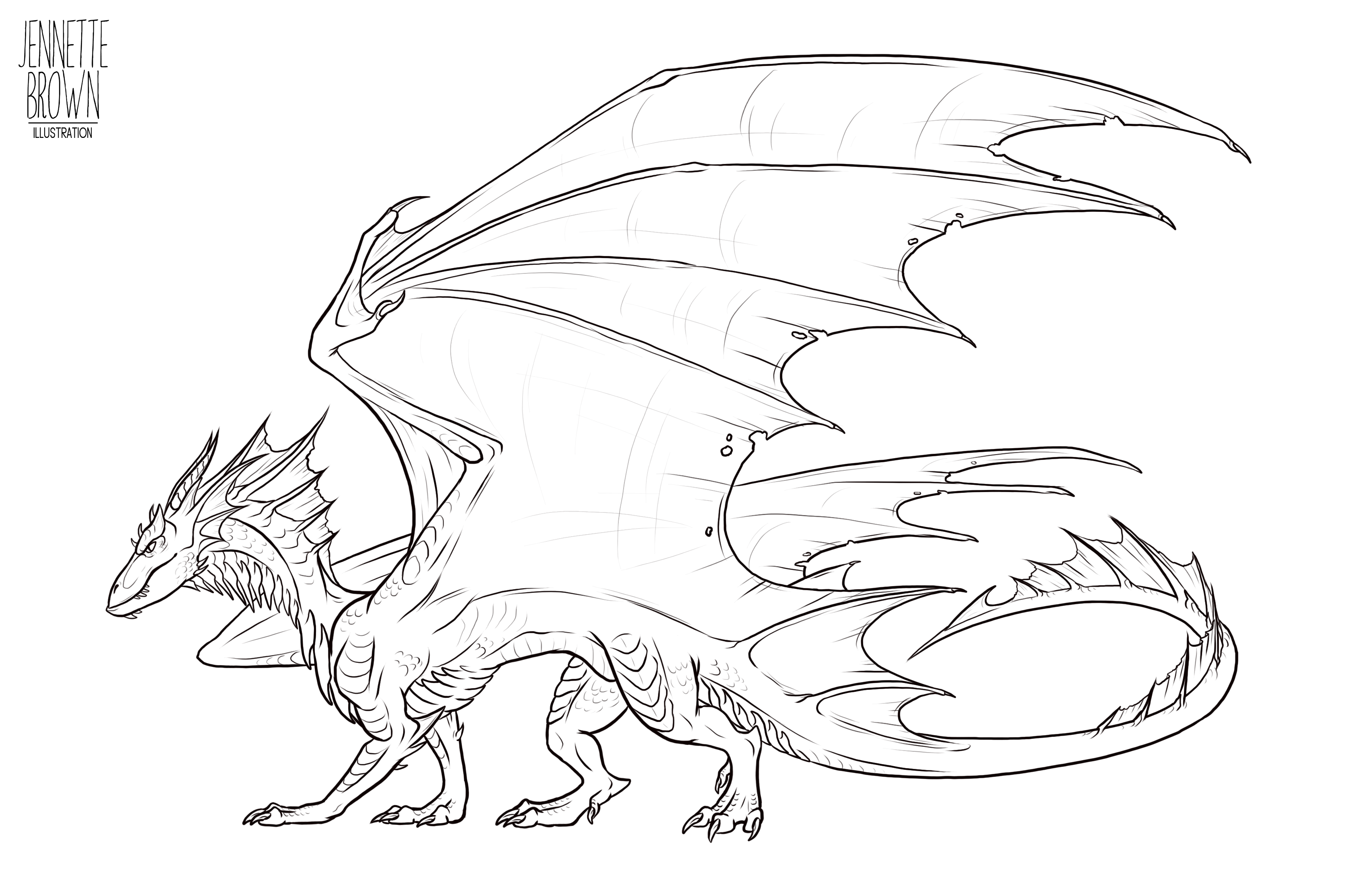 Dragon Lineart Template 1