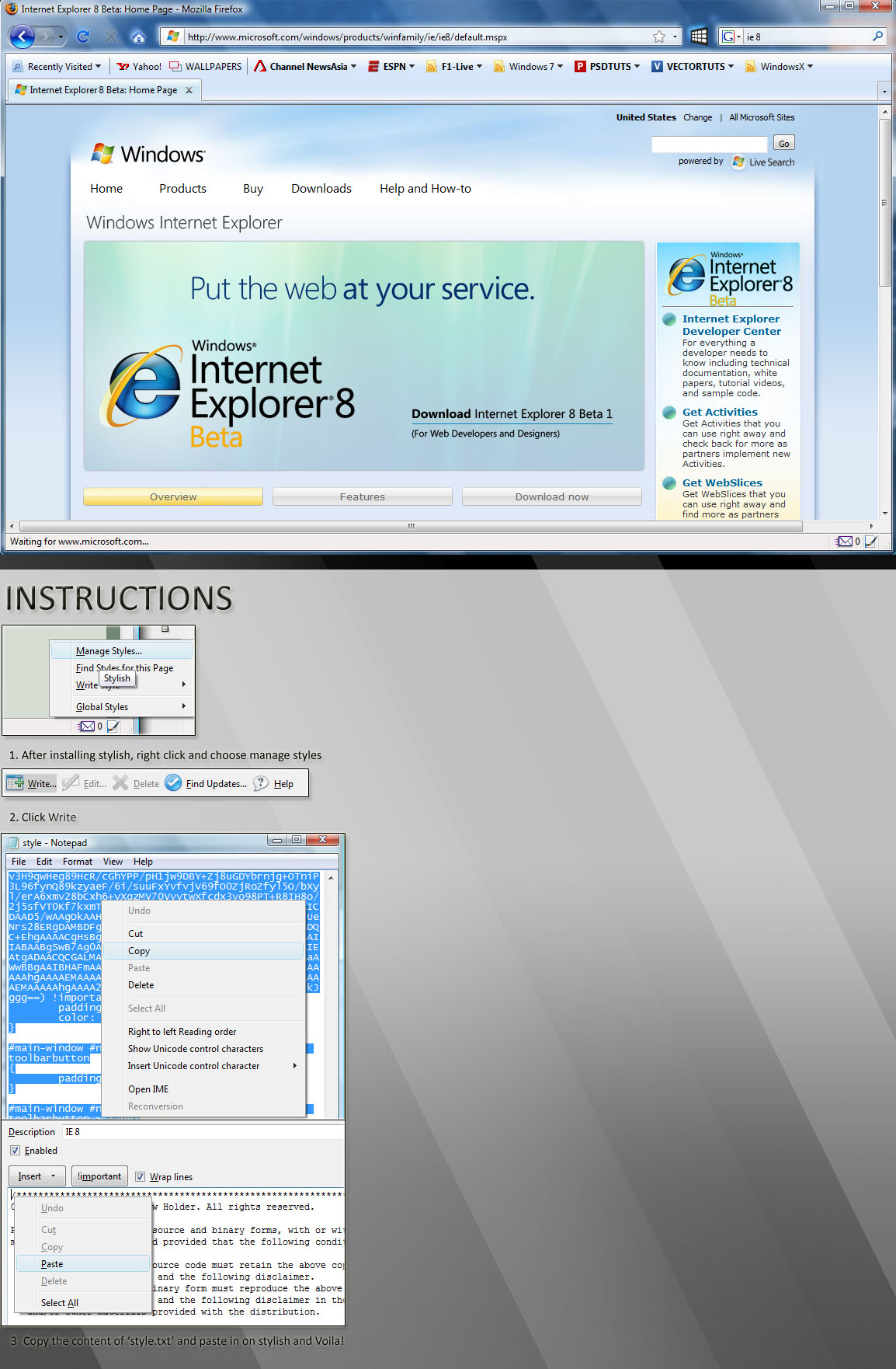 IE 8 Beta 2 Skin