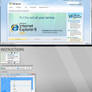 IE 8 Beta 2 Skin