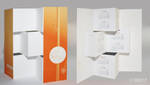 Calendar 2011 vector by C100D17