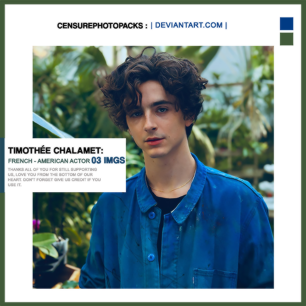 . photopack 14682 . timothee chalamet by censurephotopacks on DeviantArt