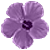 Flower in Lilac Free Avatar
