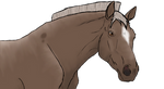 485 Broken Silver by coolhorse1 485 Broken Silver by coolhorse1