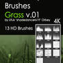 Shades Grass v.01 HD Photoshop Brushes