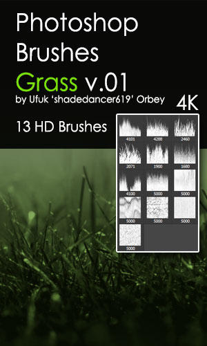 Shades Grass v.01 HD Photoshop Brushes by shadedancer619 on DeviantArt