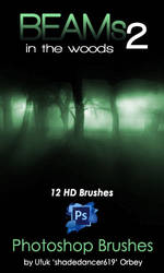 Shades Beams v.02 HD Photoshop Brushes
