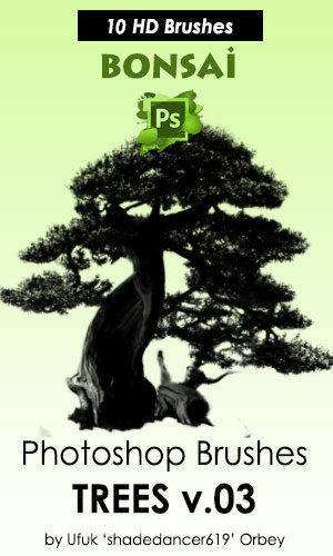 Bonsai Trees Photoshop Brushes