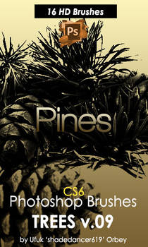 Pine Trees Photoshop Brushes