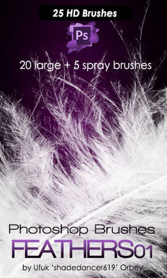 Shades Feathers 01 Photoshop Brushes