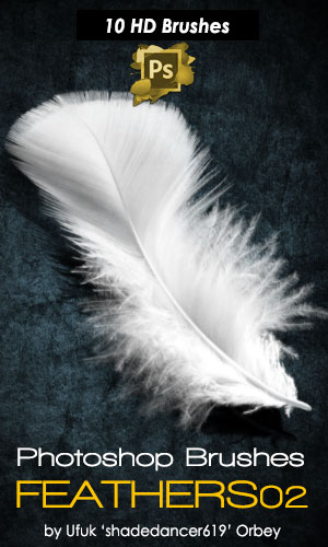 Shades Feathers 02 Photoshop Brushes