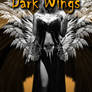 Shades Dark Wings Photoshop CC Brushes
