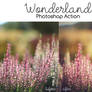 Photoshop Action: Wonderland