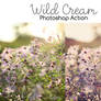 Photoshop Action: Wild Cream