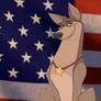 Thunderbolt with American Flag
