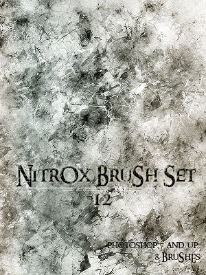 Nitr0x Brush Pack 12