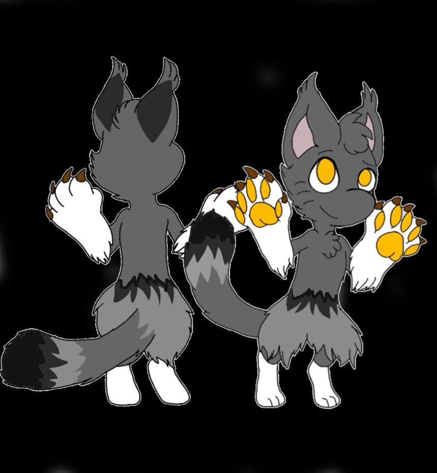 Grey Kitten by MothieDragonz on DeviantArt