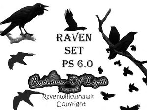 Raven Set 6.0