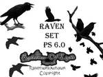 Raven Set 6.0 by Insan-Stock