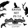 Raven Set 7.0