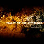 Valley of the Dry Bones 3