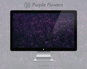 Purple Flowers