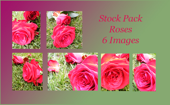 Stock Pack - Red Rose Tears