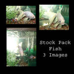 Stock Pack - Fish by Gracies-Stock