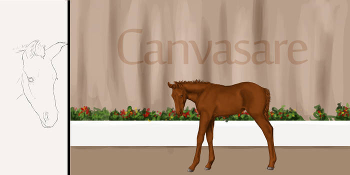 Canvasare Foal Sheet