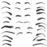 28 Eyebrow Photoshop Brushes