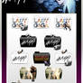 Colorflow Lady Gaga Folders