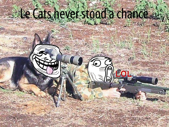 Le cats never stood a chance