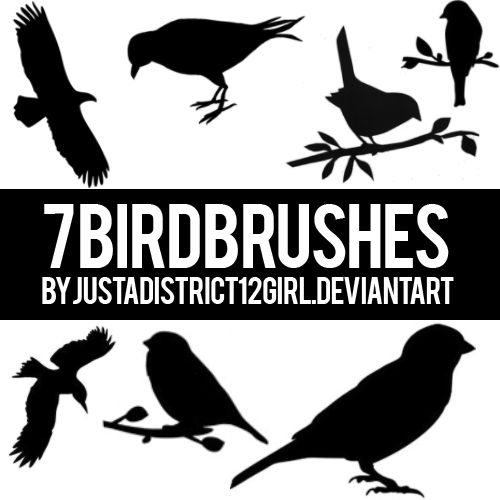 7 Bird Brushes For You! by justadistrict12girl on DeviantArt