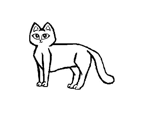 Cat Walking Animation By Warriorcats09 On Deviantart