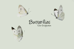 3 Butterflies