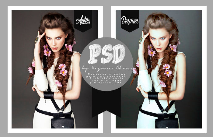 PSD 17 by kagomechan20 on DeviantArt