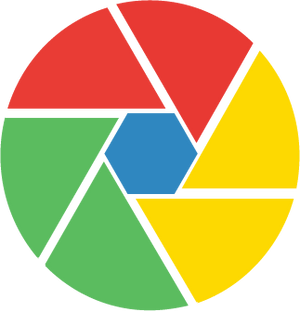 Chrome - icon