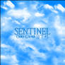 Sentinel Cloud Grunge SET 1