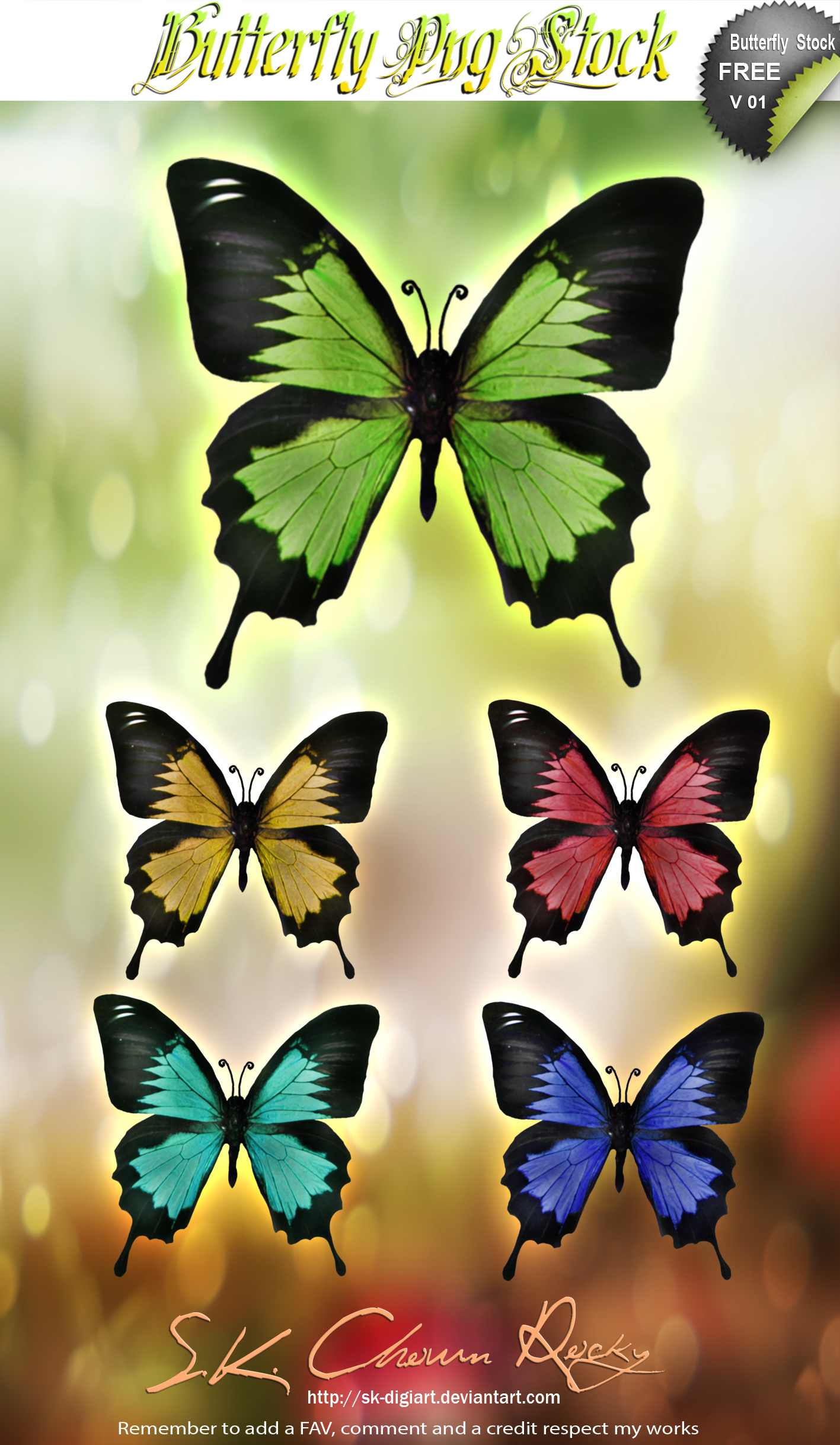 Butterfly PNG Stock V01
